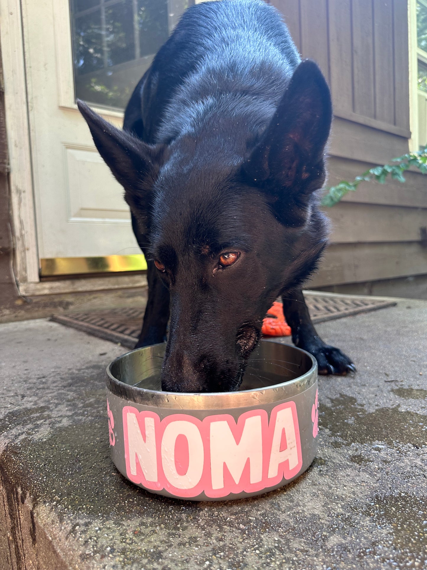 Custom Dog Bowl (64 oz)